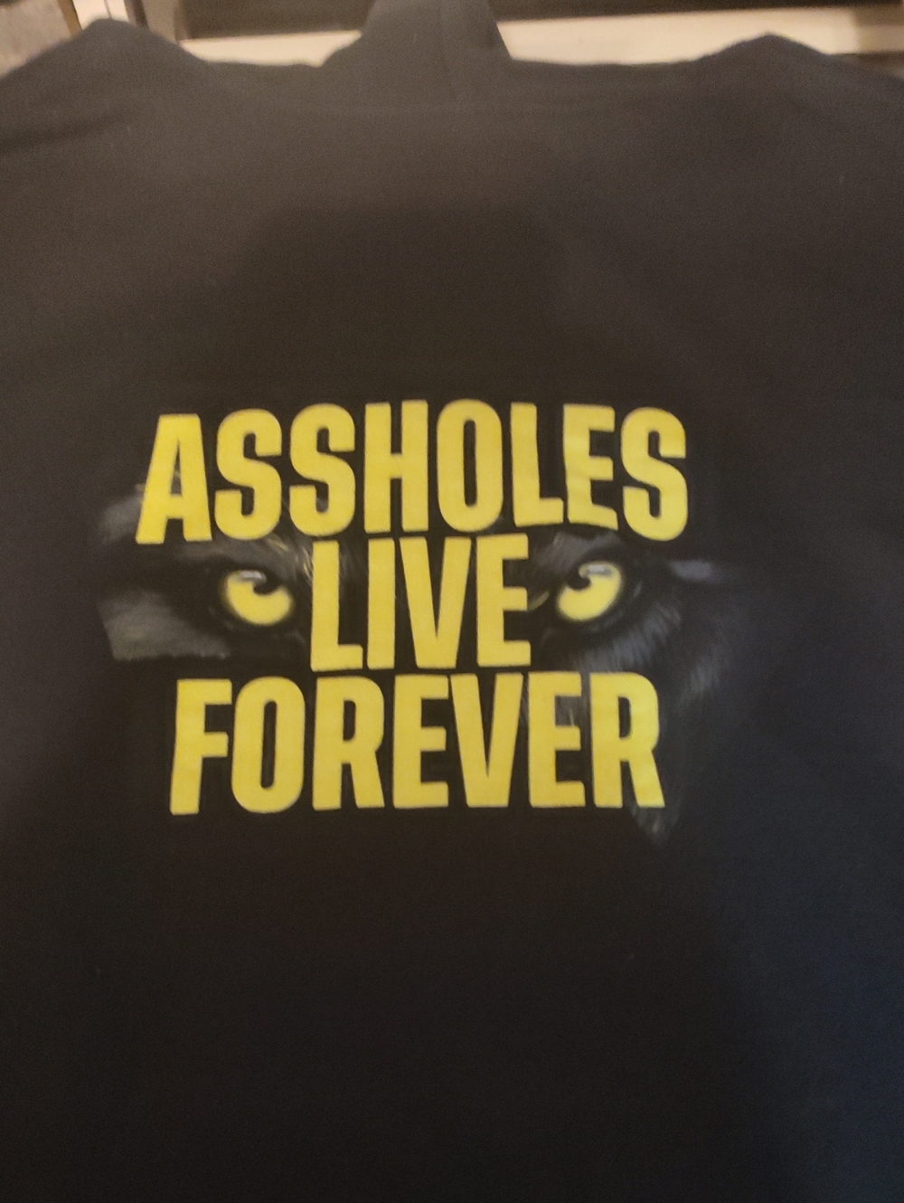ASSHOLES LIVE FOREVER Hoodie  Apparel -2XL
